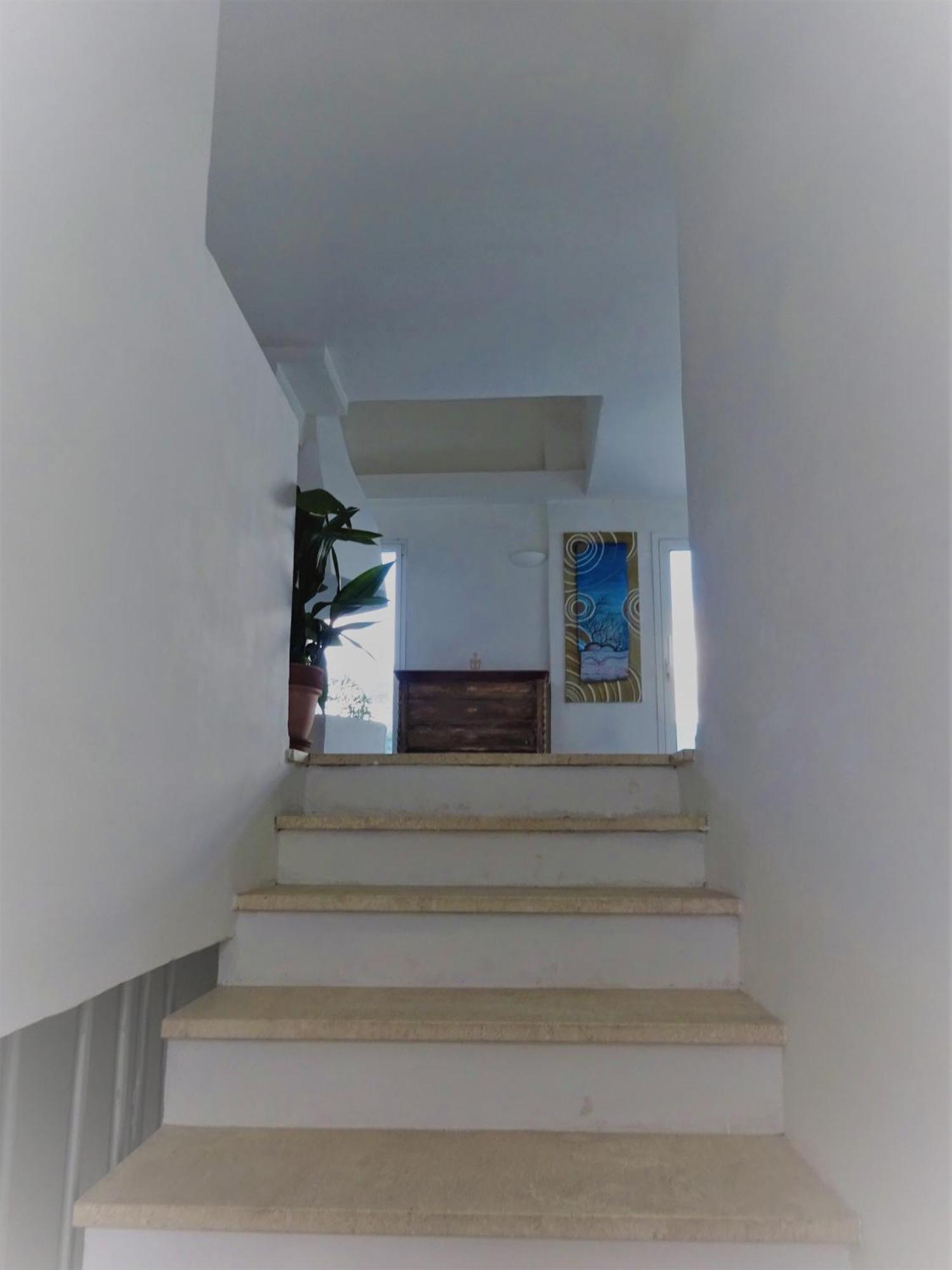 White - San Pantaleo Daire Dış mekan fotoğraf